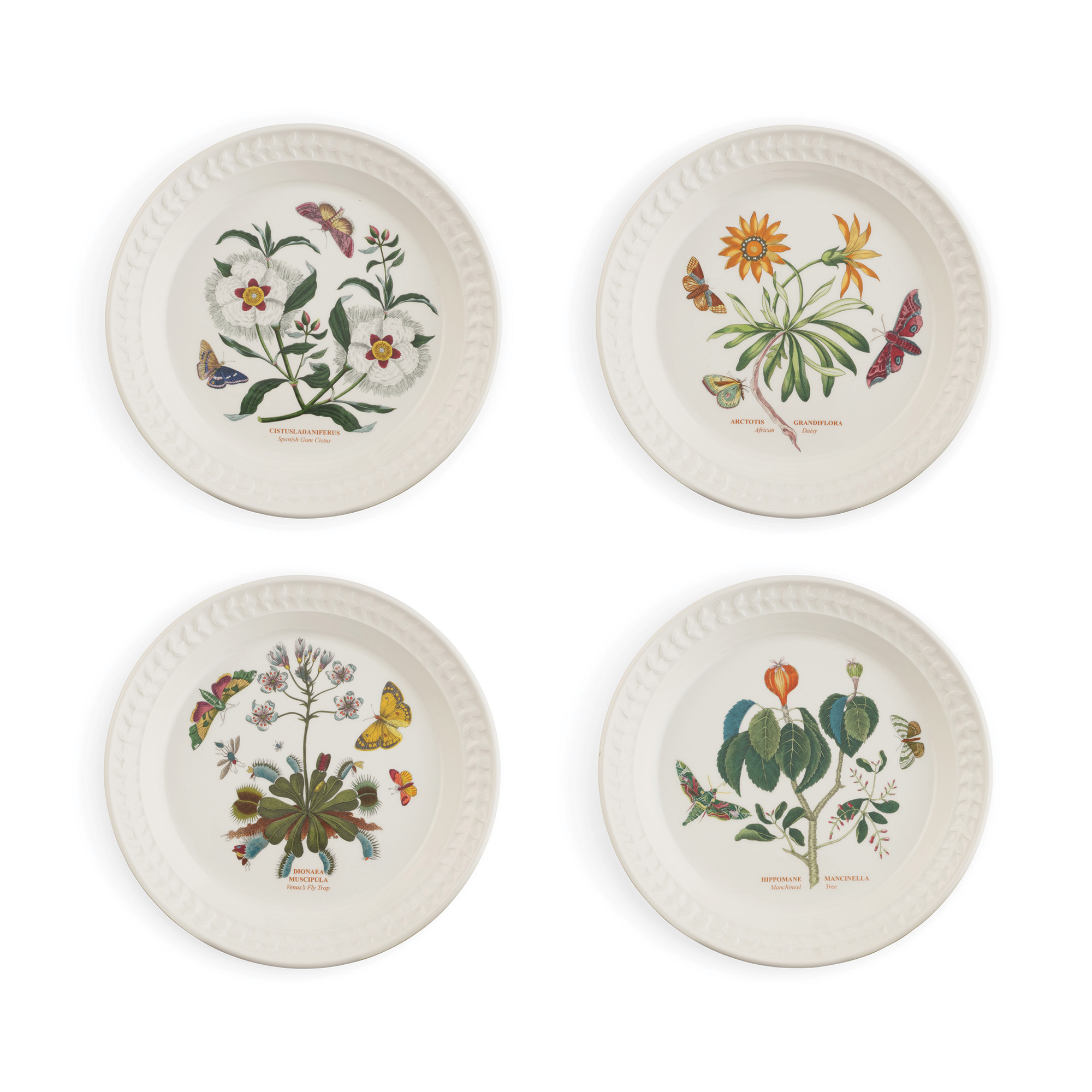 Botanic Garden Harmony 12 Piece Set White & Papilio image number null